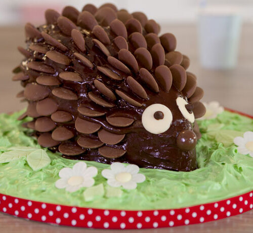 Chocolate Hedgehog Cake