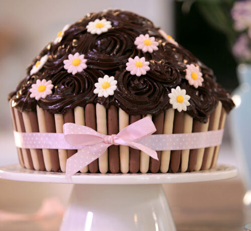 Giant Chocolate Cupcake