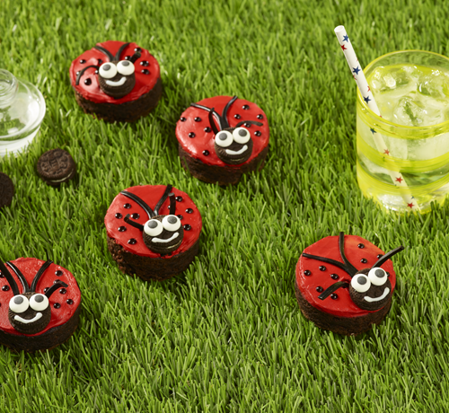 Ladybird Brownies