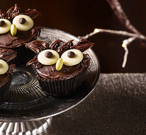 Owl Cupcakes