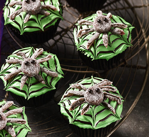 Spooky Spider Cupcakes